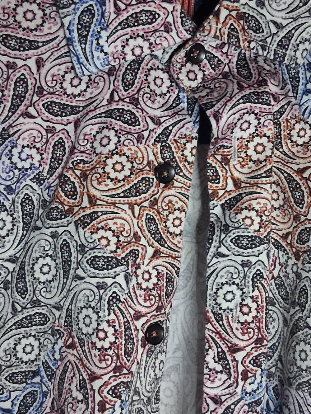 Visconti Black Embroidered Logo Button-Up Shirt - Blue with Multicolor Paisley